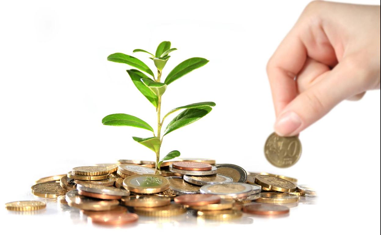 Feng Shui C Mo Atraer El Dinero Plantas Que Atraen El Dinero